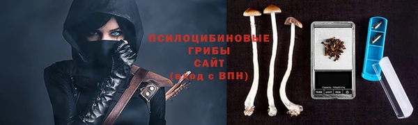 твердый Белокуриха