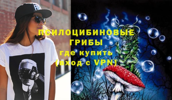 спиды Беломорск