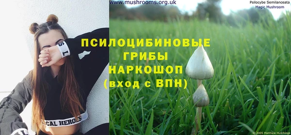 твердый Белокуриха