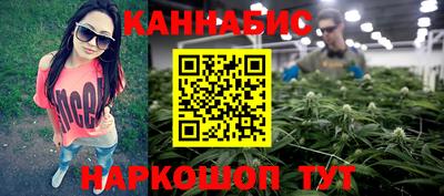 мет Кингисепп