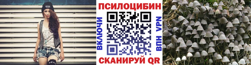 Псилоцибиновые грибы Magic Shrooms  Кунгур 